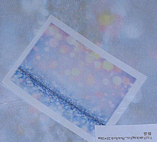 Fotohintergrund Fotowand Foto Wand Hintergrund - ca. 210 cm x 150 cm - Wie Neu