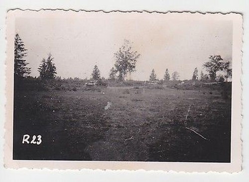 55953 foto wehrmacht deutsche - foto,