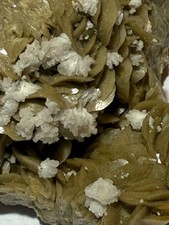 Strontianit (auf Siderit), eher selten Italien, Mineralien N°411/B35