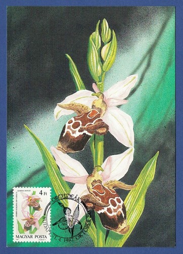 Ungarn 1987 maximumkarte - 1987,,