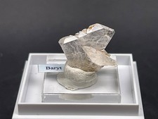 *Rarität* Sogenannter