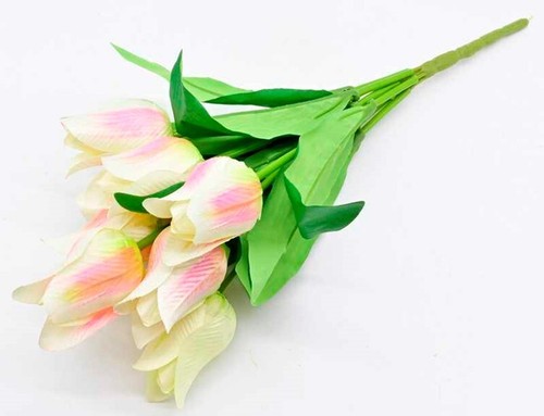 Tulpenstrauß fach weiß - fach,