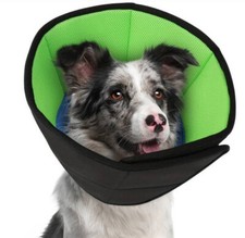 Halskrause für Hund 