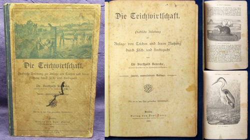 Benecke die teichwirtschaft - benecke,