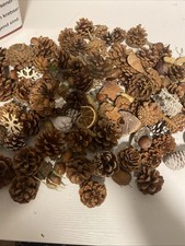 Bastelpaket Natur Materialien Bastelmaterial Konvolut Nüsse Tannenzapfen Sterne