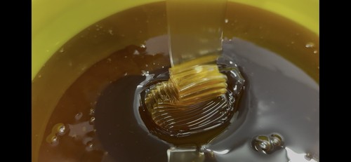 Honig eimer blütenhonig - honig,