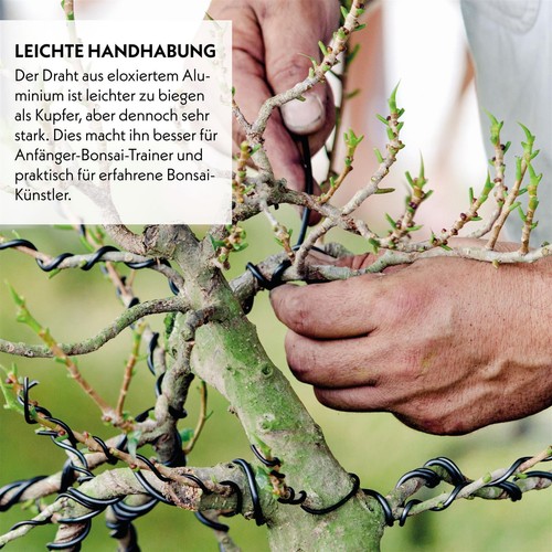 10m bonsai draht aus - 5m，10m,