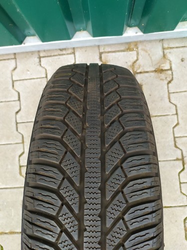 Winterreifen semperit - 1x,