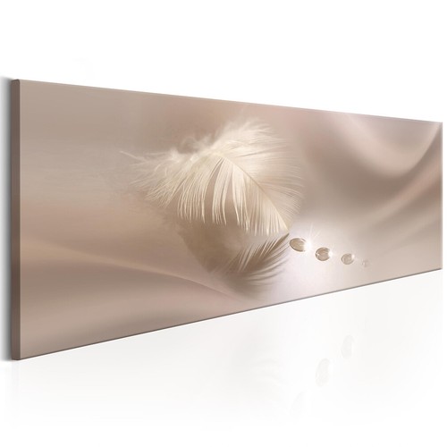 Feder tropfen rosa cremig - feder,