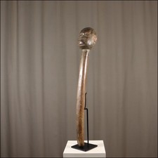 89962) Tanzkeule Bulu Kamerun