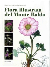 Illustrierte Flora des Monte