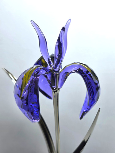 Swarovski crystal paradise - crystal,