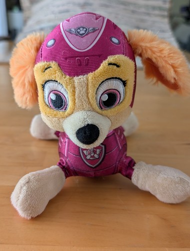 Spin master paw patrol - master, sky