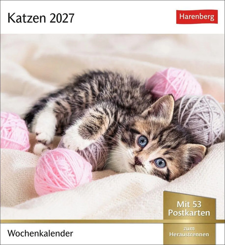 Katzen postkartenkalender 2027 - katzen,