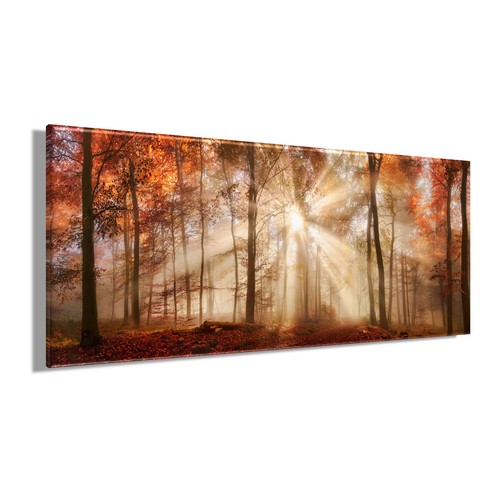 Wandbild herbstwald xxl 60x140 - herbstwald,