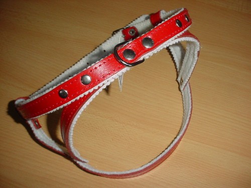 Hundegeschirr echtem leder - a.echtem,