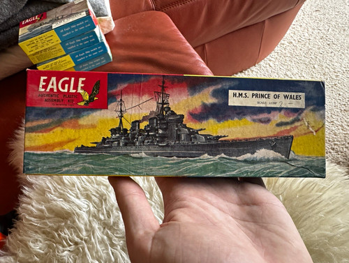 Eagle prince of wales - eagle,