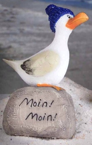 Moin möve - möve, hein