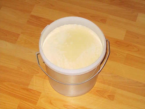 Eimer frühtracht - 13,