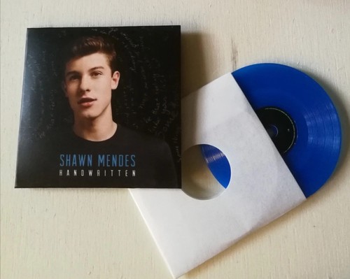 Mini brands vinyl shawn mendes - brands,