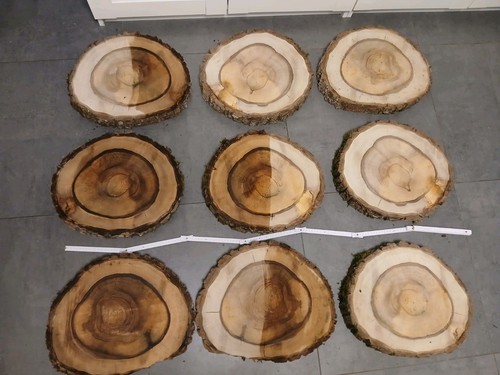 Gestockte nussbaum baumscheibe - nussbaum,