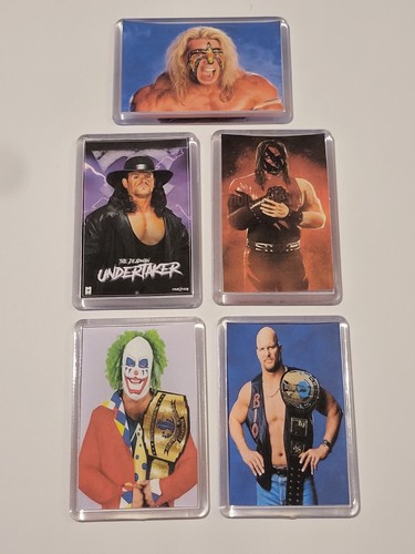 Wwe wwf wrestling - wwf, acryl