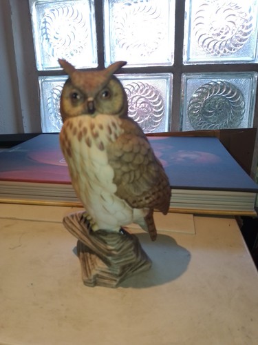 Uhu eagle owl goebel - eagle, eule