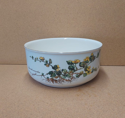 Botanica villeroy boch - v.,