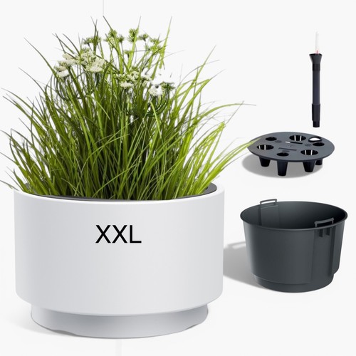 Xxl pflanzkübel mit - xxl,