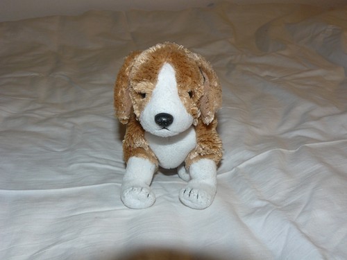 Beanie baby plüsch hund - plüsch,