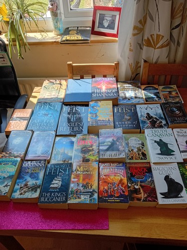 Job lot fantasy paperback - lot, 29