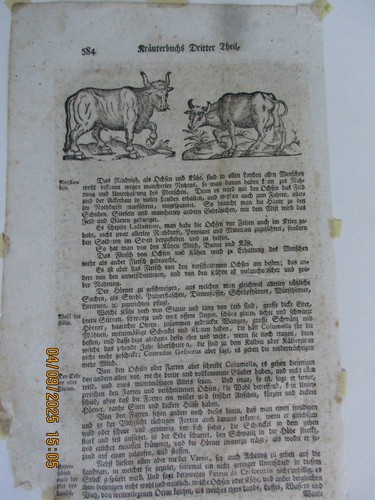 Seiten vollst kräuterbuch - 2, vollst.