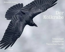 Der Kolkrabe - Totenvogel