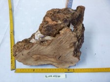 Olivenholz Edelholz drechseln