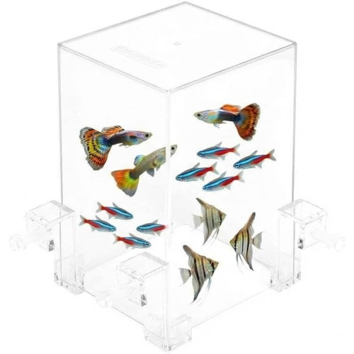 Acryl fischturm aquarium - acryl,