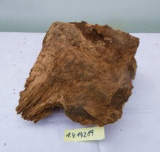 Olive Olivenholz Drechselholz