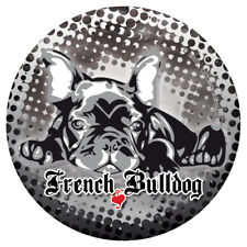 FRANZÖSISCHE BULLDOGGE MOLLY