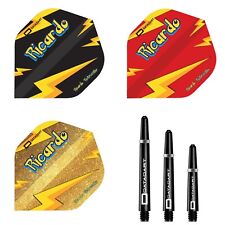 Kombi Datadart Ricardo Pietreczko Dart Flights mit Nylon Dart Schäften Setup