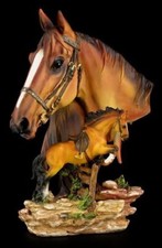 Große Pferde Büste mit