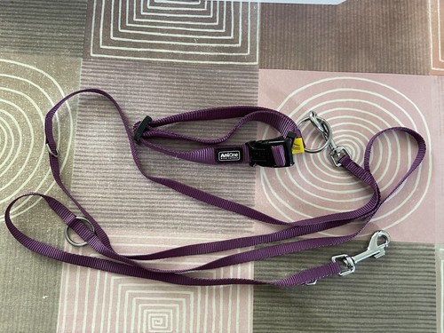 Hundeleine hundehalsband - hundeleine,