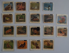 Tierwelt unserer Heimat 1979    - Hanuta -  Bild Nr. 1-20