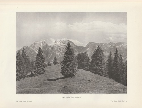 Blick auf hohe göll - auf,