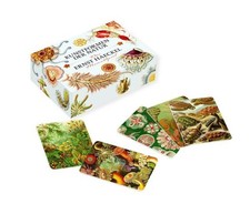 Das Ernst-Haeckel-Memo-Spiel Kunstformen der Natur (mit Booklet)