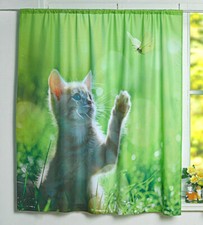 übergardine katze mit - katze,