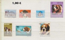 Hunde nur Bernhardiner (388)