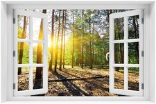 Wallario Poster mit Fenster-Illusion Sonnenstrahlen tief hinter Wald Kiefern Ast