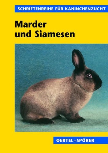 Marder und siamesenkaninchen - marder-,