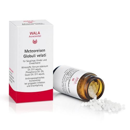 Meteoreisen globuli velati - meteoreisen,