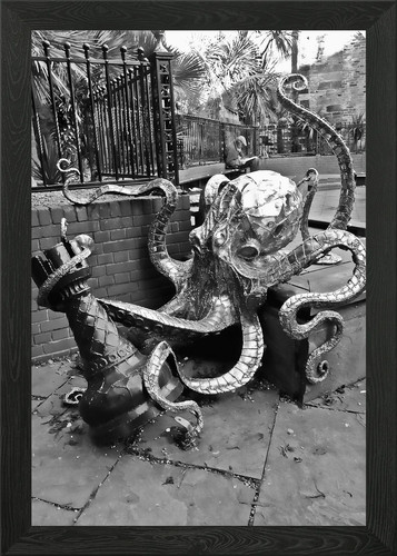 Altstadt oktopus gerahmtes - oktopus,