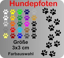 12 Hundepfoten Pfoten Hund